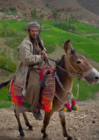 Donkey    Jark, Waras  District , Afghanistan